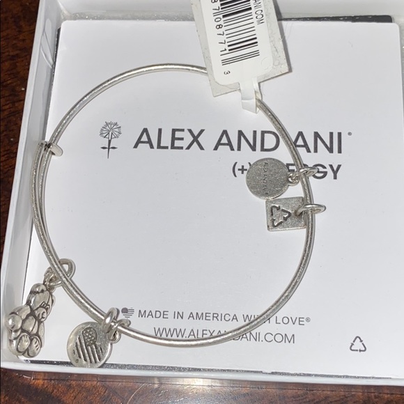 NWT Alex and Ani Energy Bracelet - Picture 6 of 6